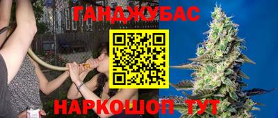 стаф Обнинск